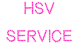 members.hsvdatingservice.com